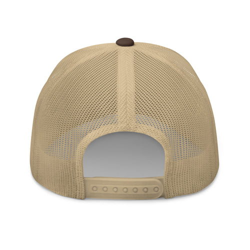Raid Founders Trucker Cap in Brown back view